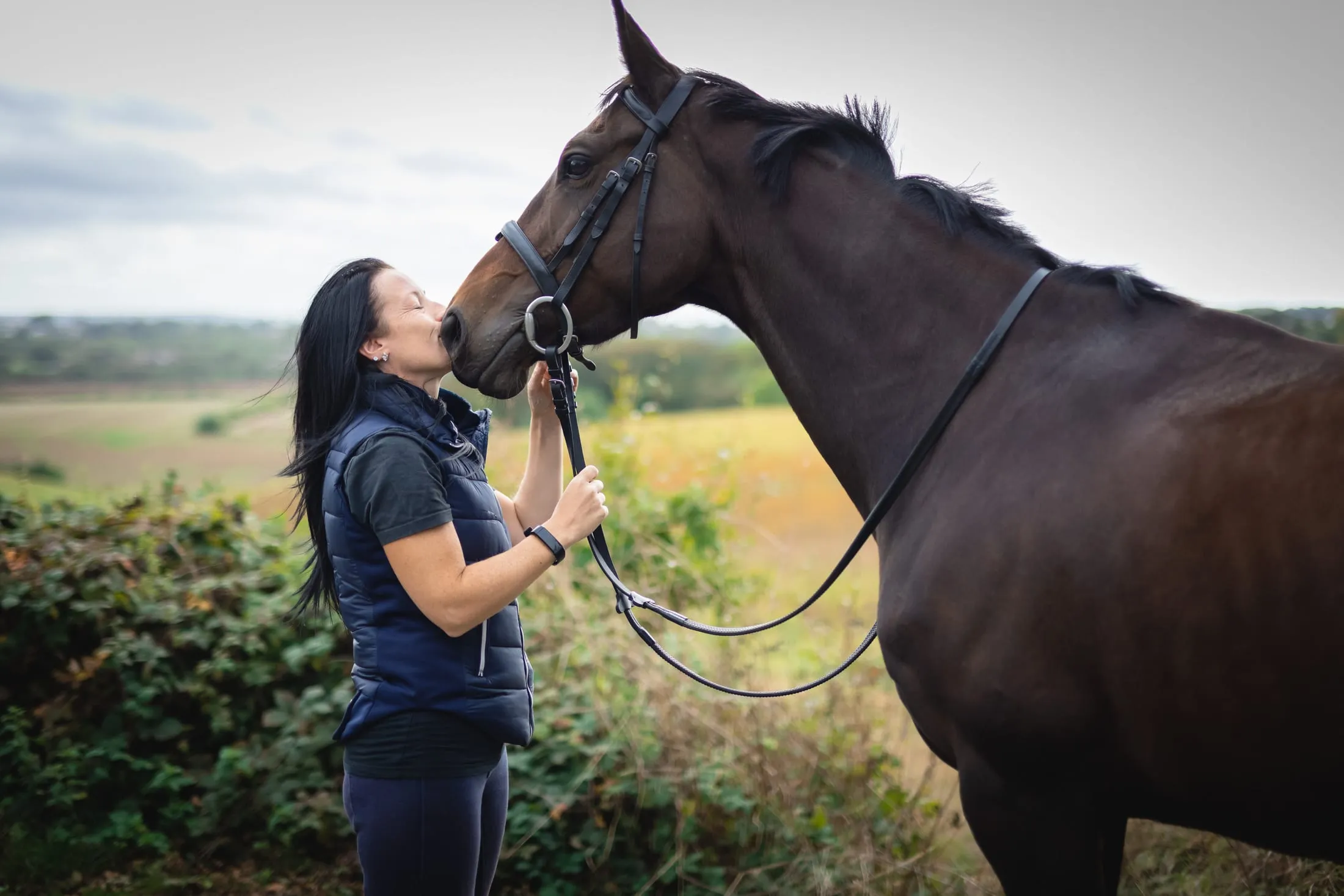 Equine photography by The Quiet Portrait